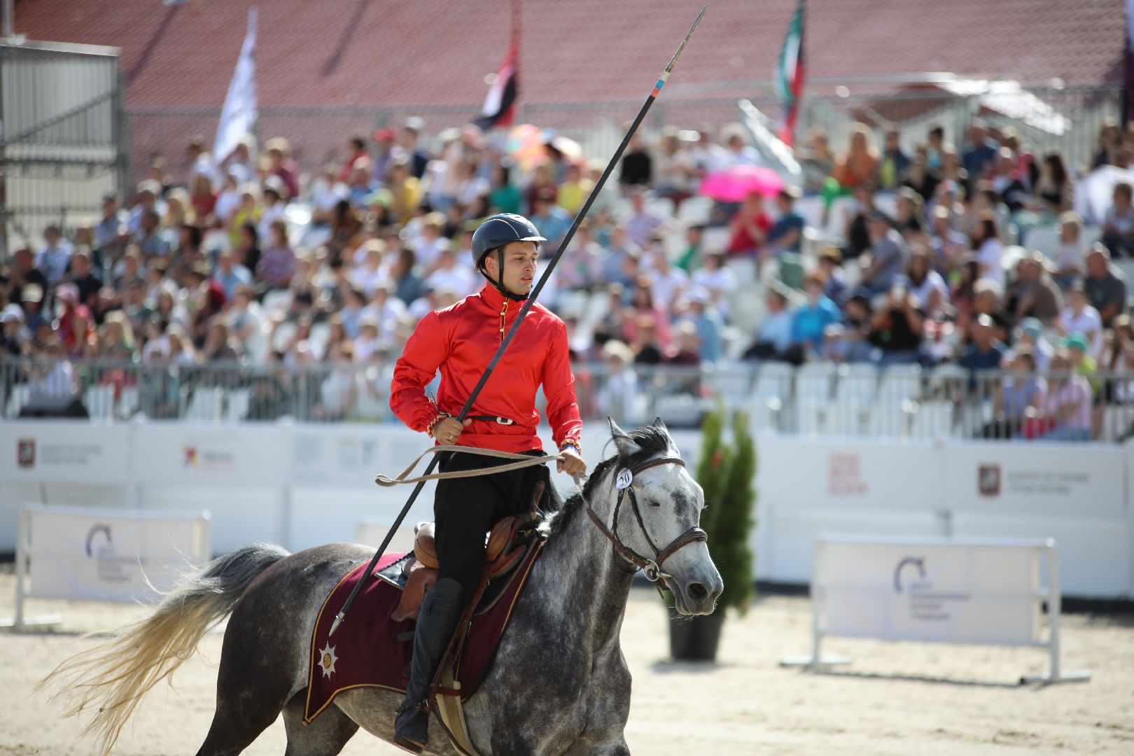 лыткарино, спорт, тентпеггинг, конный спорт, международные соревнования,