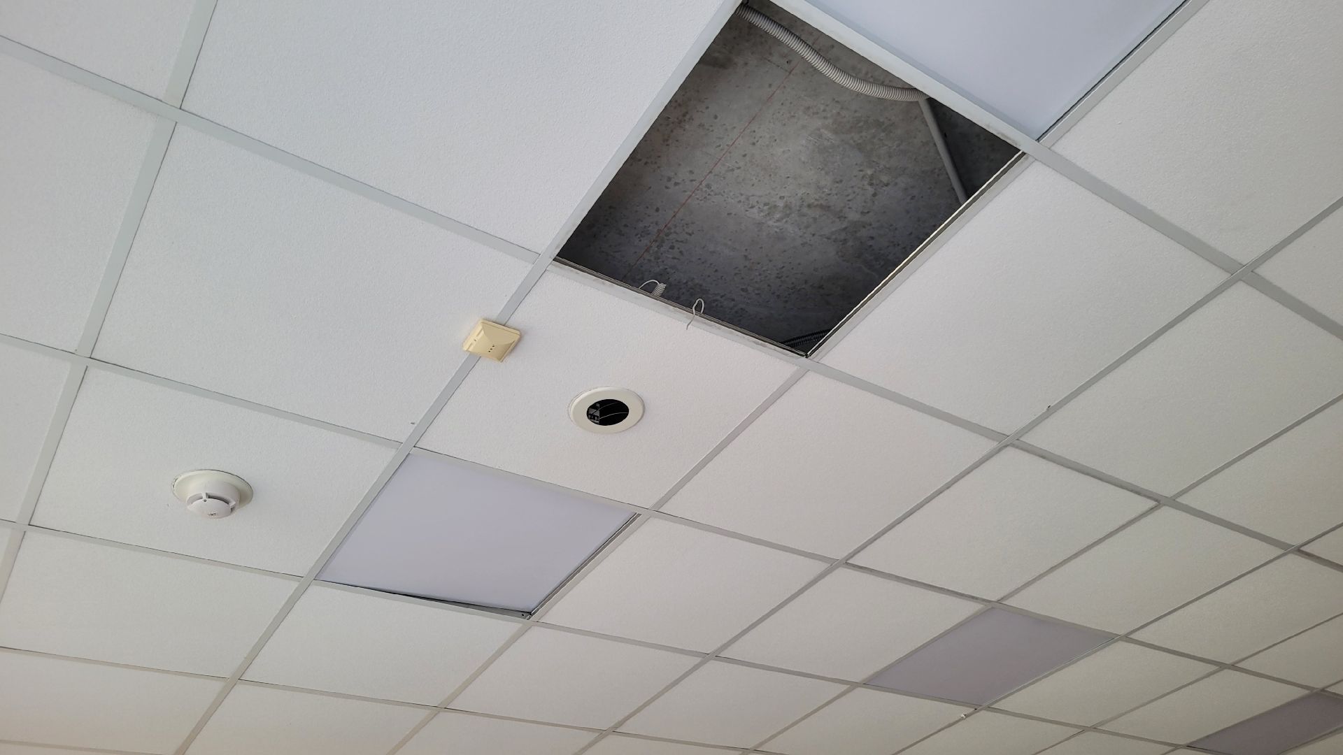 дети; столовая; общепит; видное; школы