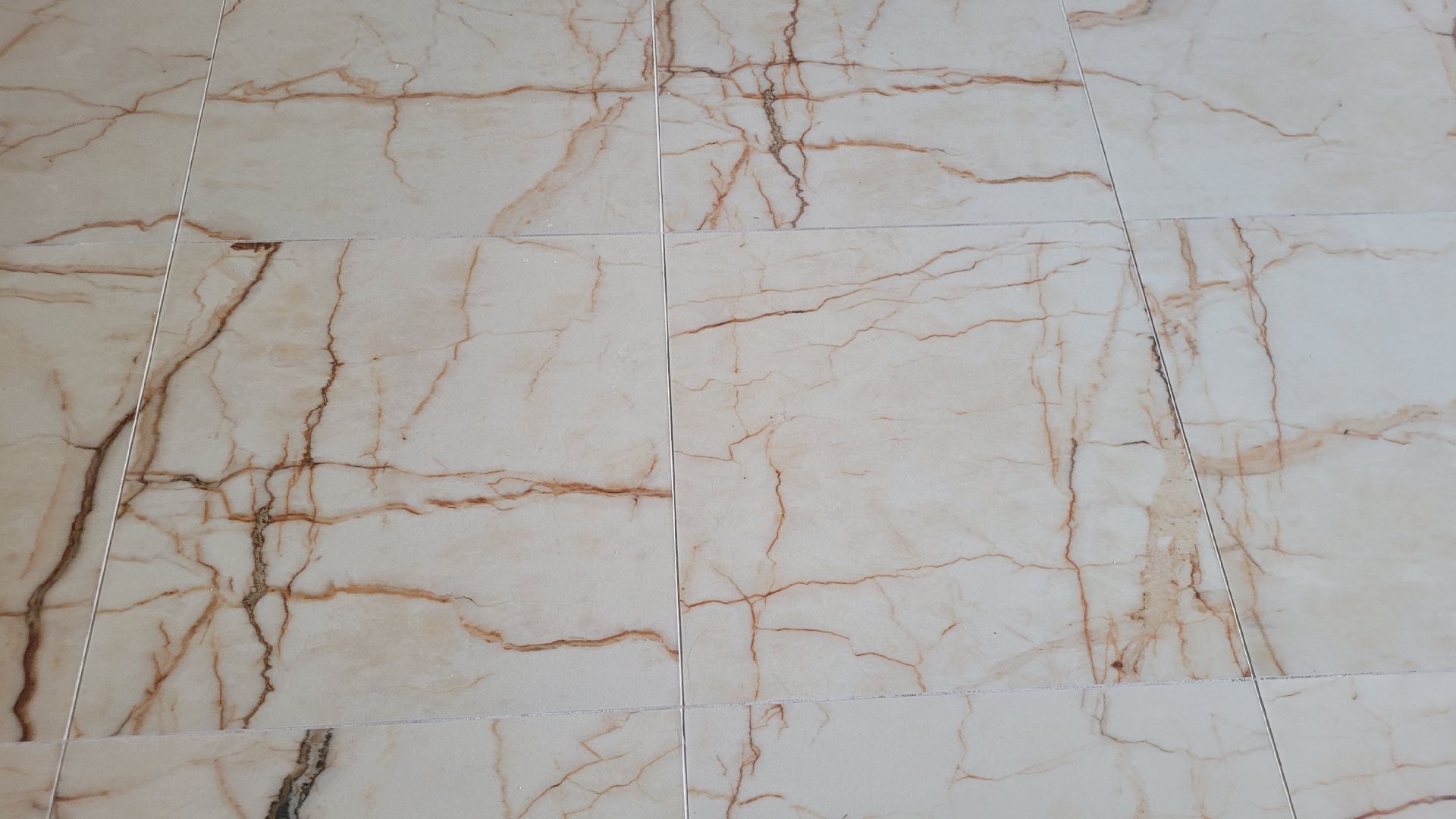 дети; столовая; общепит; видное; школы