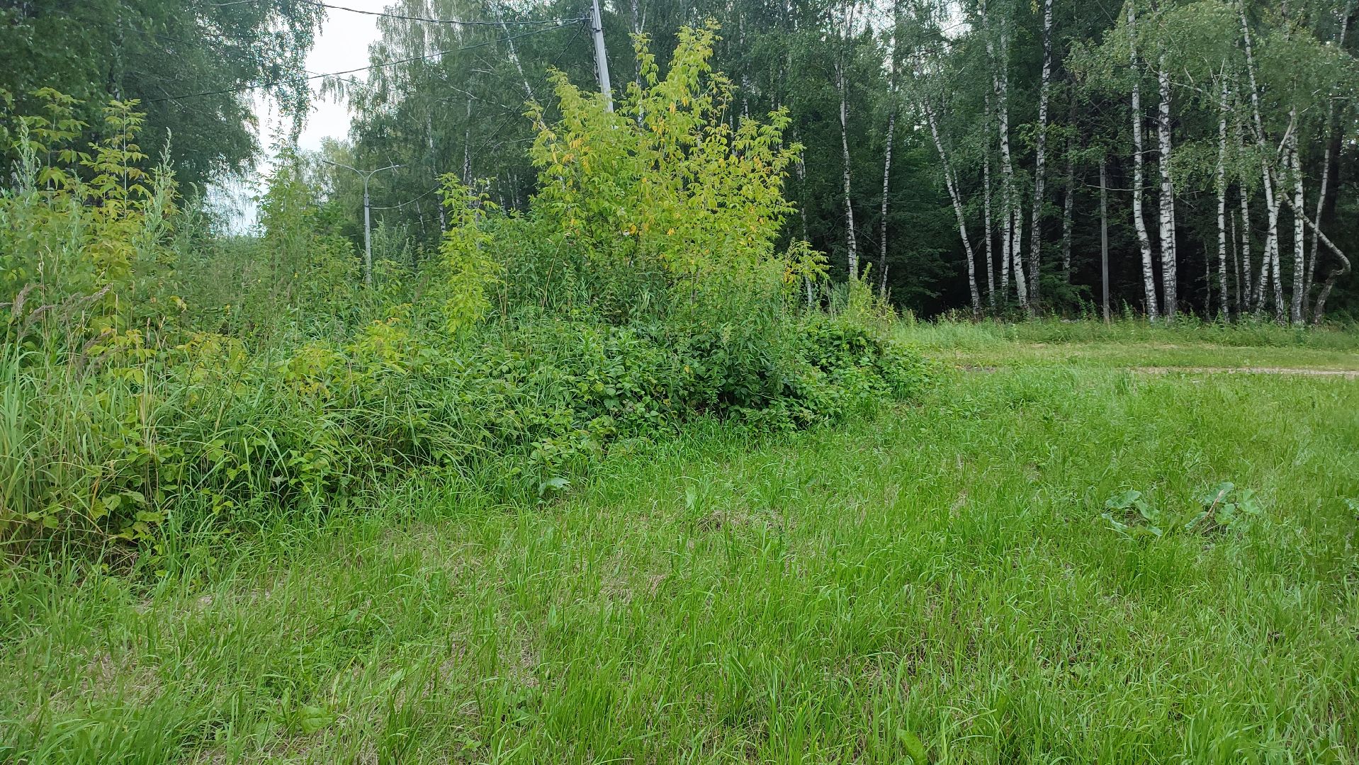 Кашира, парк, лыжная трасса, освещение, благоустройство