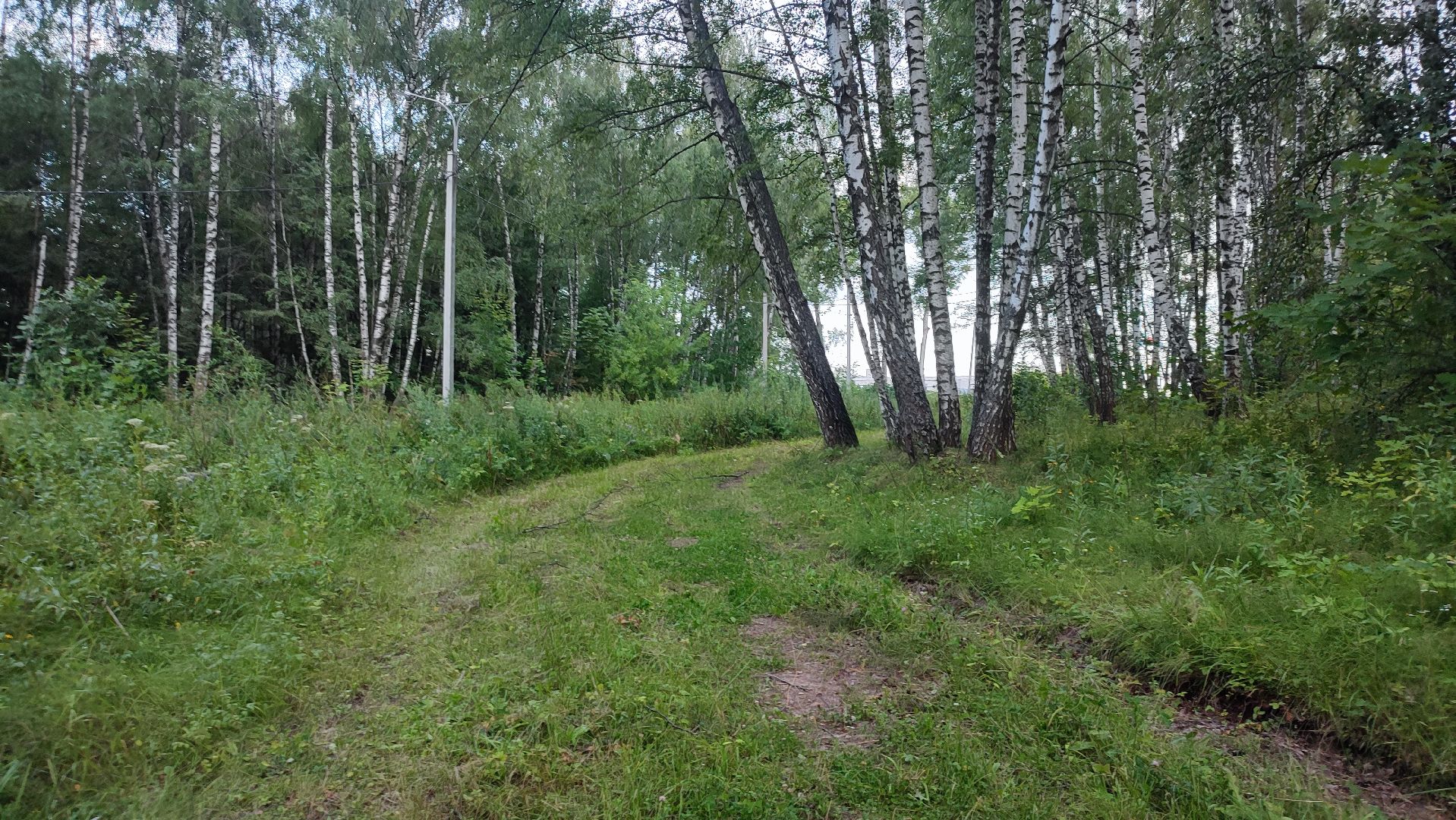 Кашира, парк, лыжная трасса, освещение, благоустройство