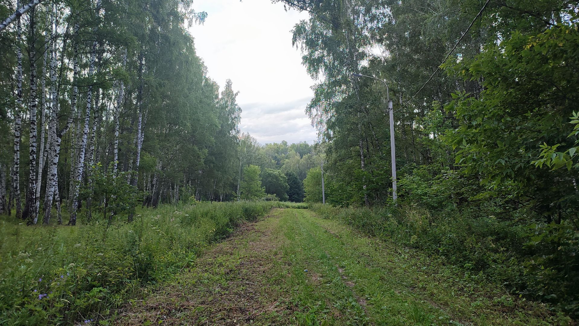 Кашира, парк, лыжная трасса, освещение, благоустройство