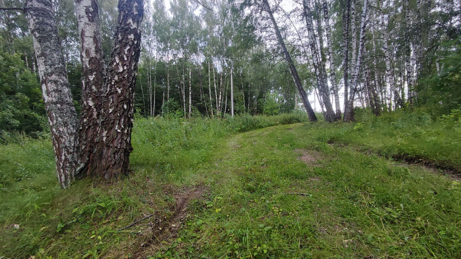 Кашира, парк, лыжная трасса, освещение, благоустройство