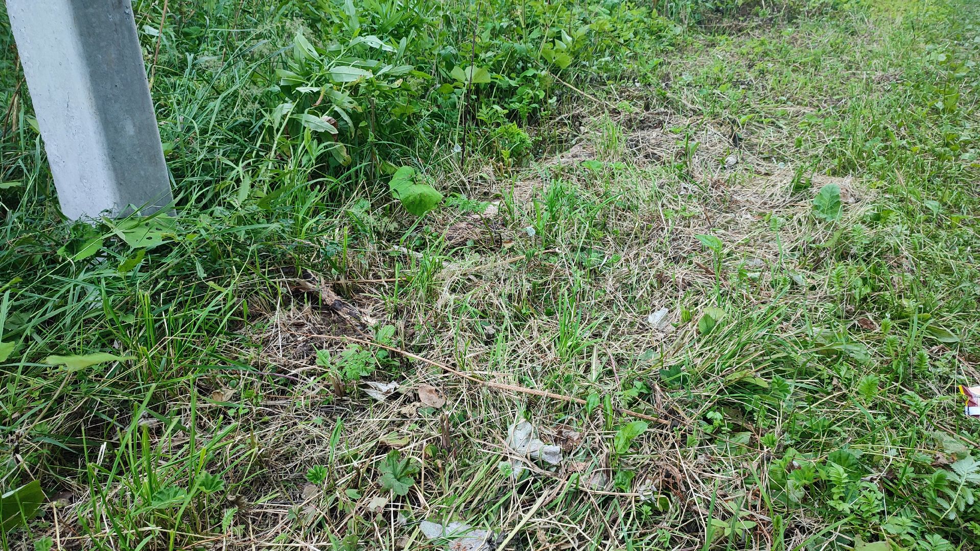 Кашира, парк, лыжная трасса, освещение, благоустройство