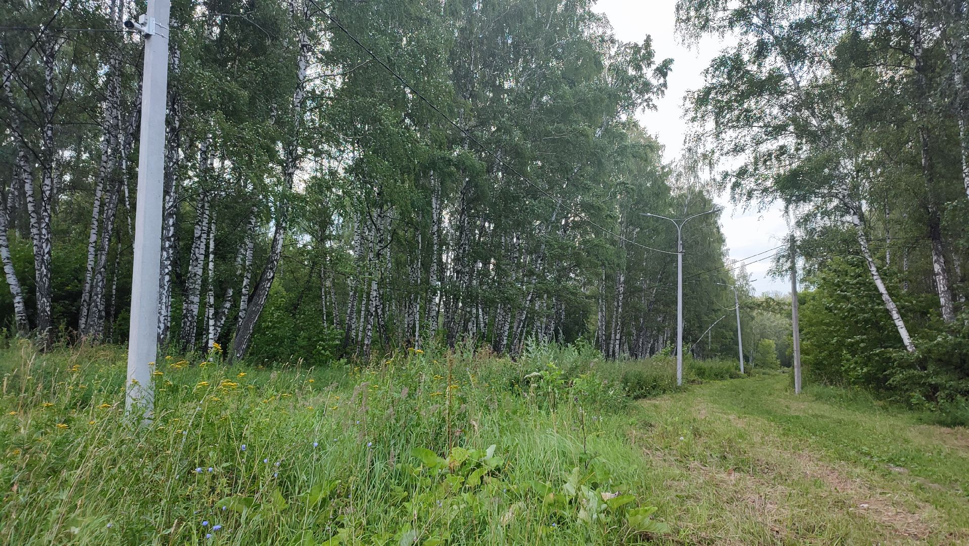 Кашира, парк, лыжная трасса, освещение, благоустройство