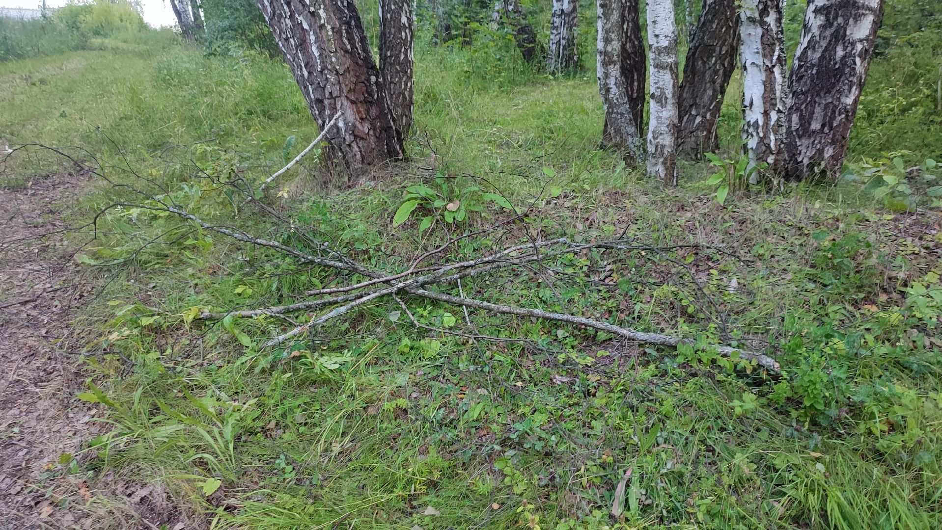 Кашира, парк, лыжная трасса, освещение, благоустройство