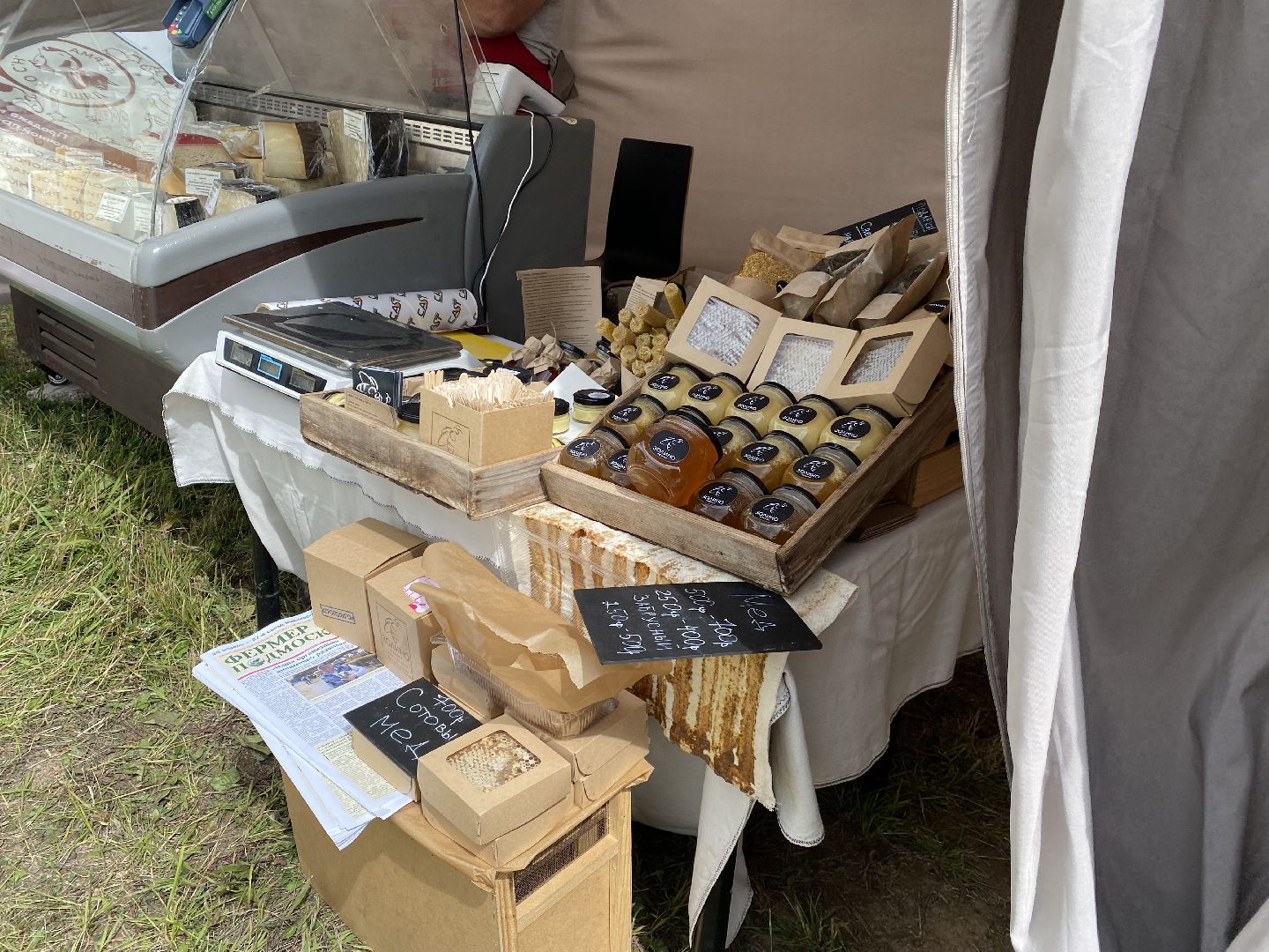 Домодедово, ярмарка, выставка, сельское хозяйство