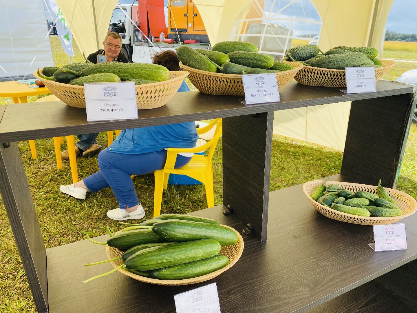 Домодедово, овощная ярмарка, выставка сортов, научный форум