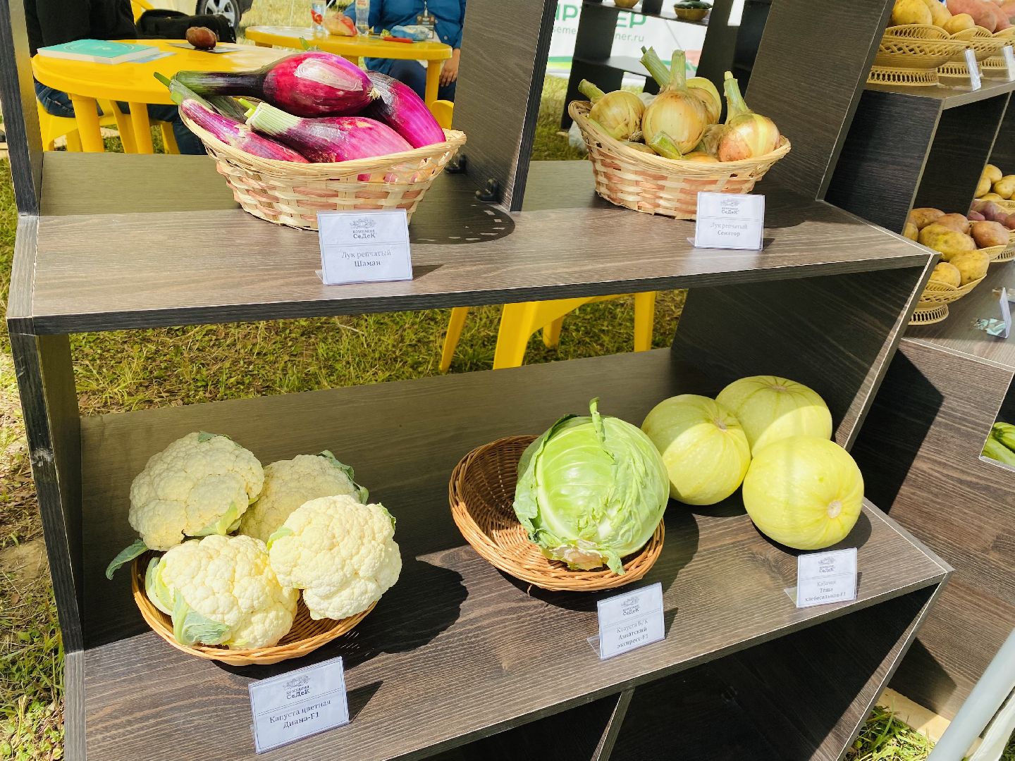 Домодедово, овощная ярмарка, выставка сортов, научный форум
