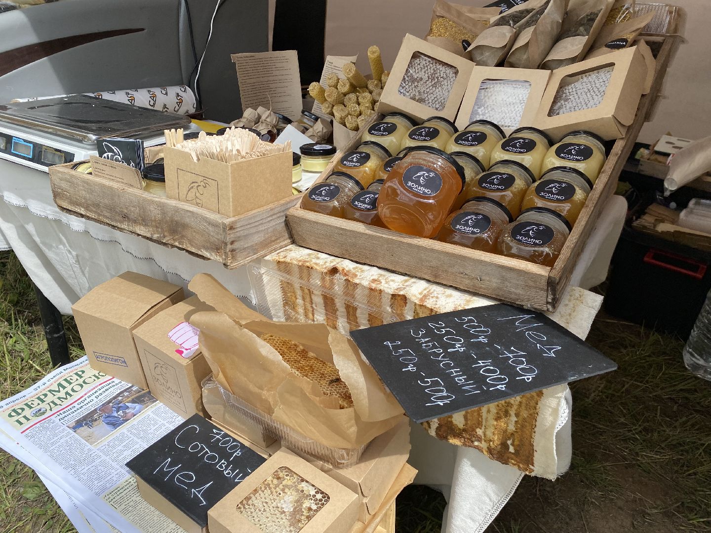 Домодедово, овощная ярмарка, выставка сортов, научный форум