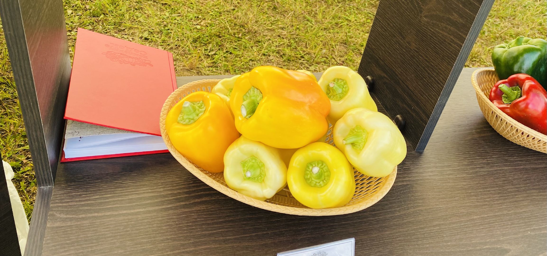 Домодедово, овощная ярмарка, выставка сортов, научный форум