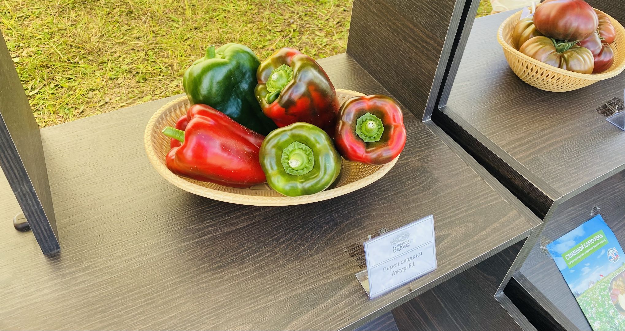 Домодедово, овощная ярмарка, выставка сортов, научный форум