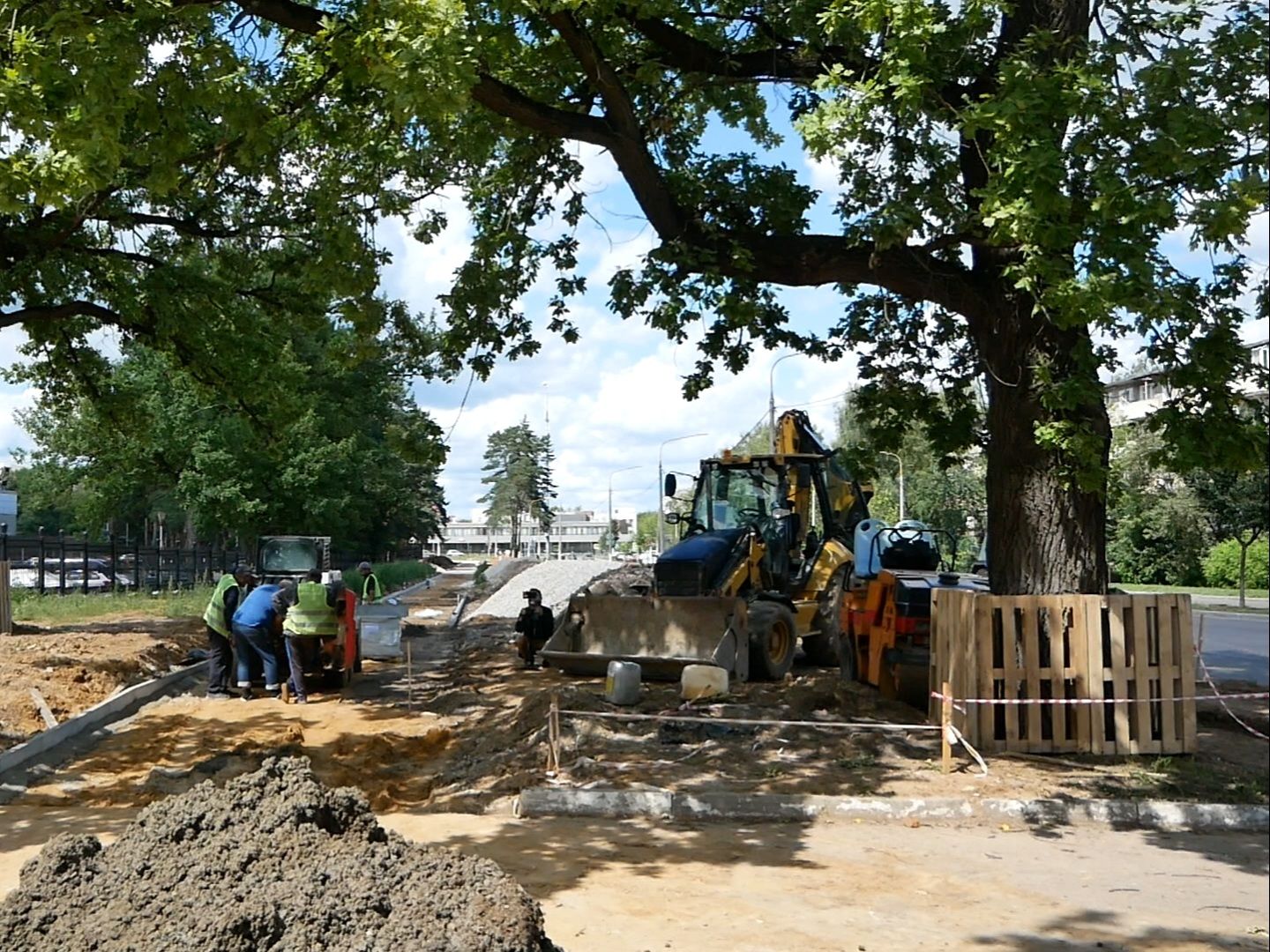 Подольск, деревья