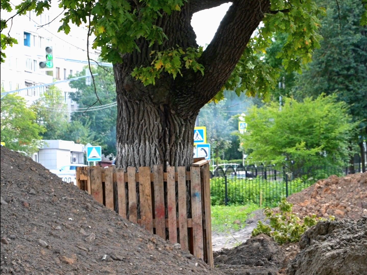 Подольск, деревья