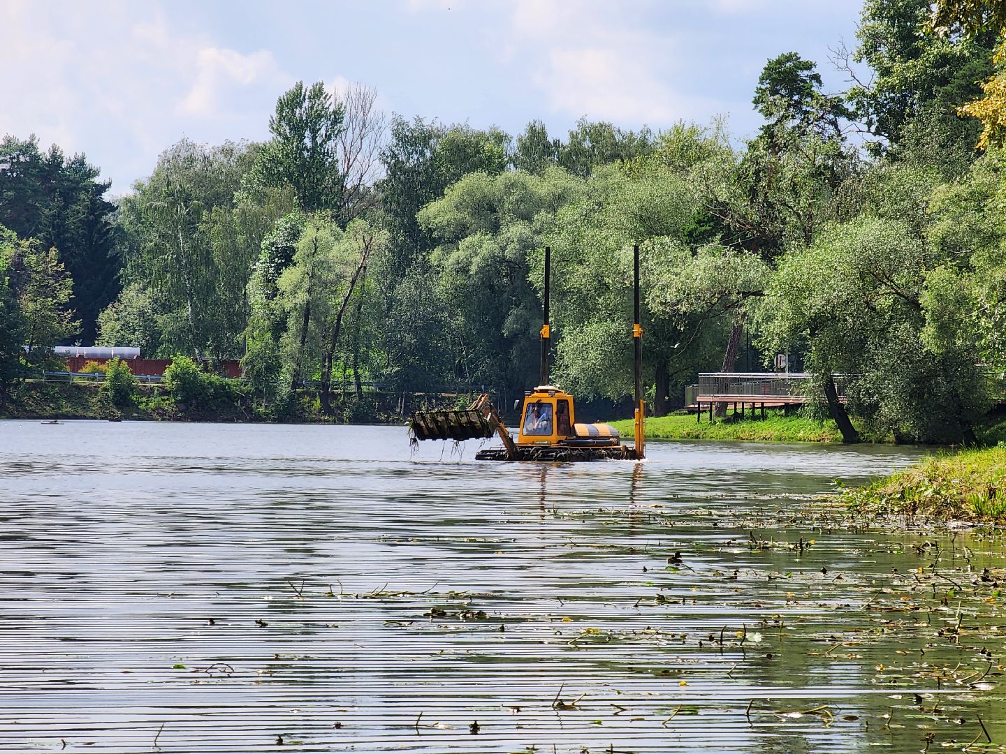 Одинцово, Немчиновский, пруд, очистка, экология, что прудов и озёр, Минэкологии, администрация, Акваберег,
