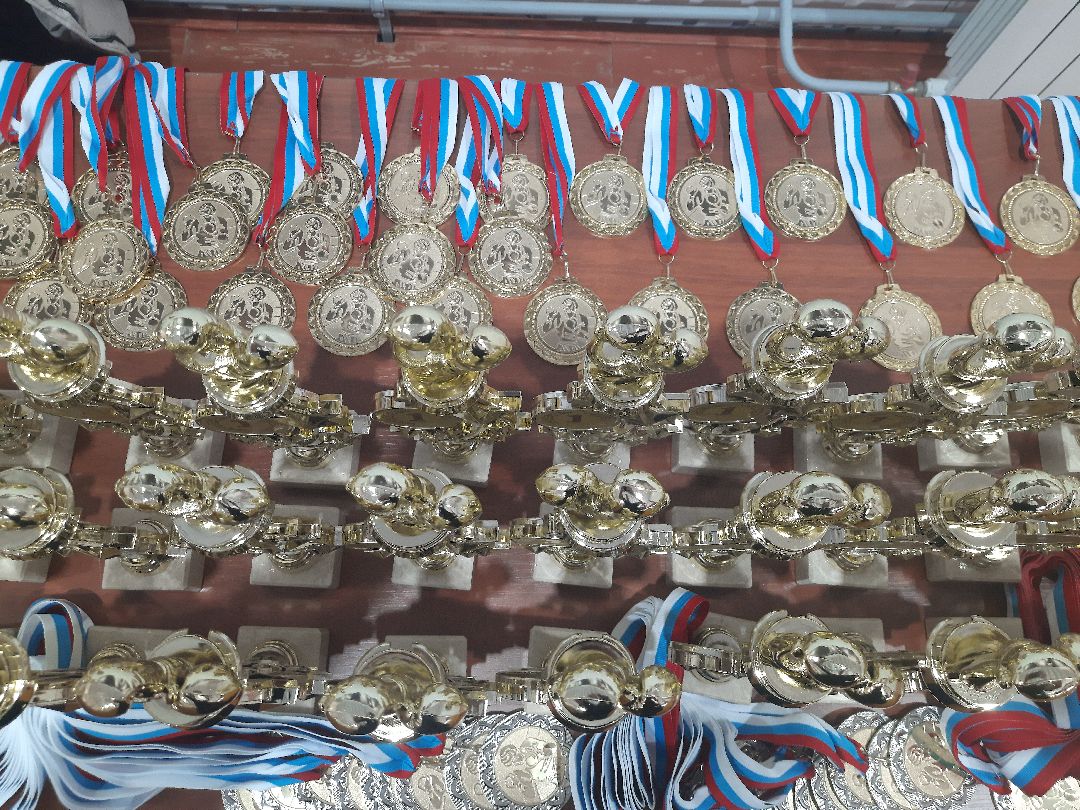 бокс, Тарачанов Станислав, Олег Баранов, Открытый боксёрский ринг, Дмитровский Погост, СВО, спорт, детский спорт