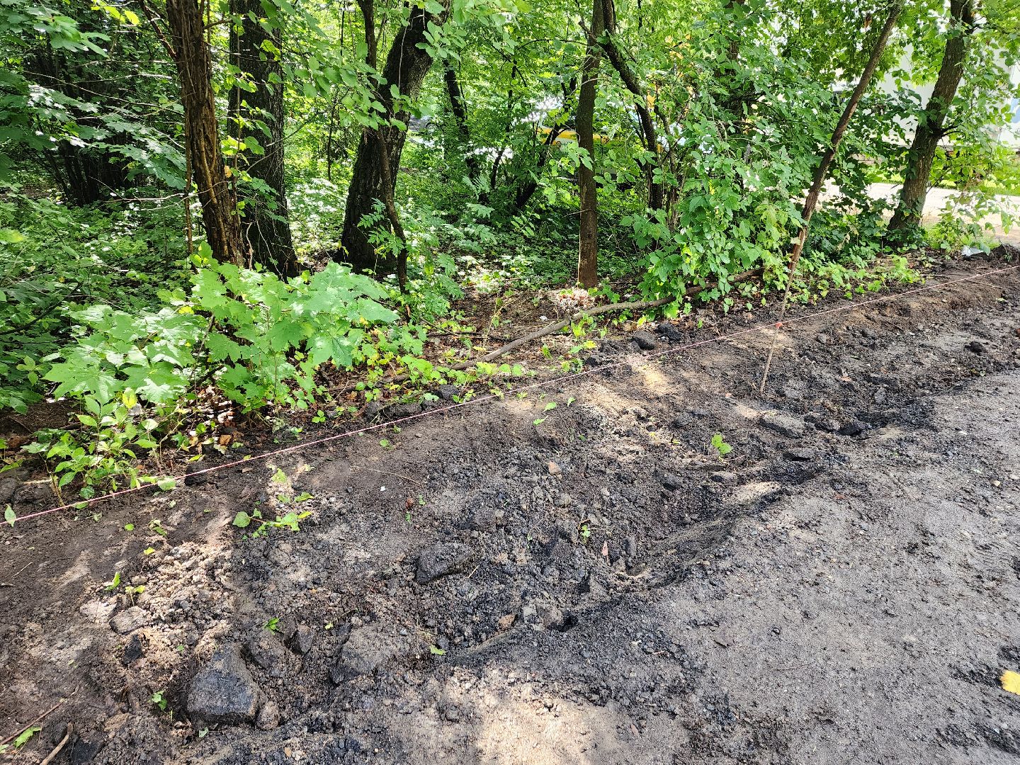 двор, доброе дело, Пушкино, ЖКХ