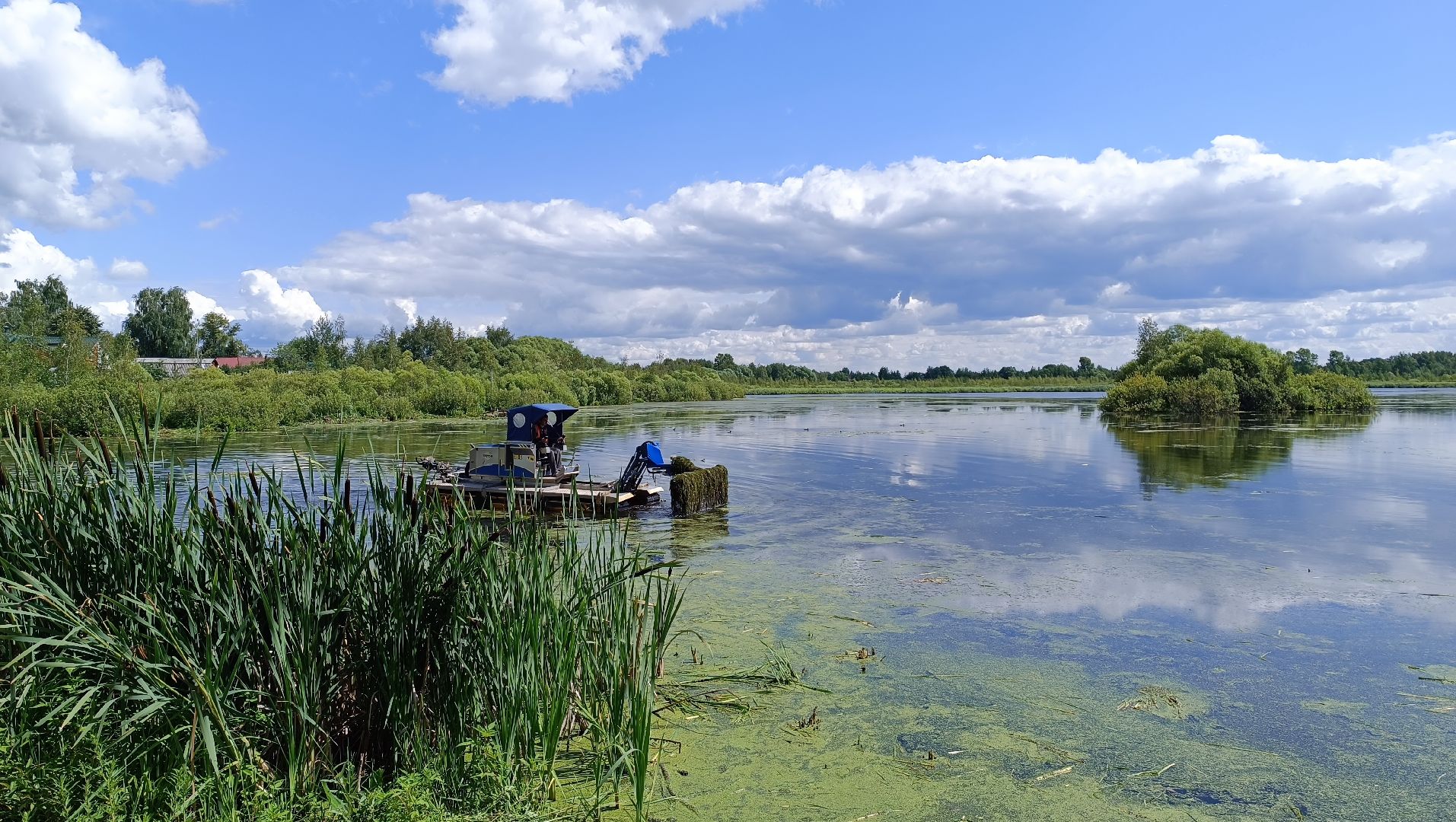Лобня, озеро, экология
