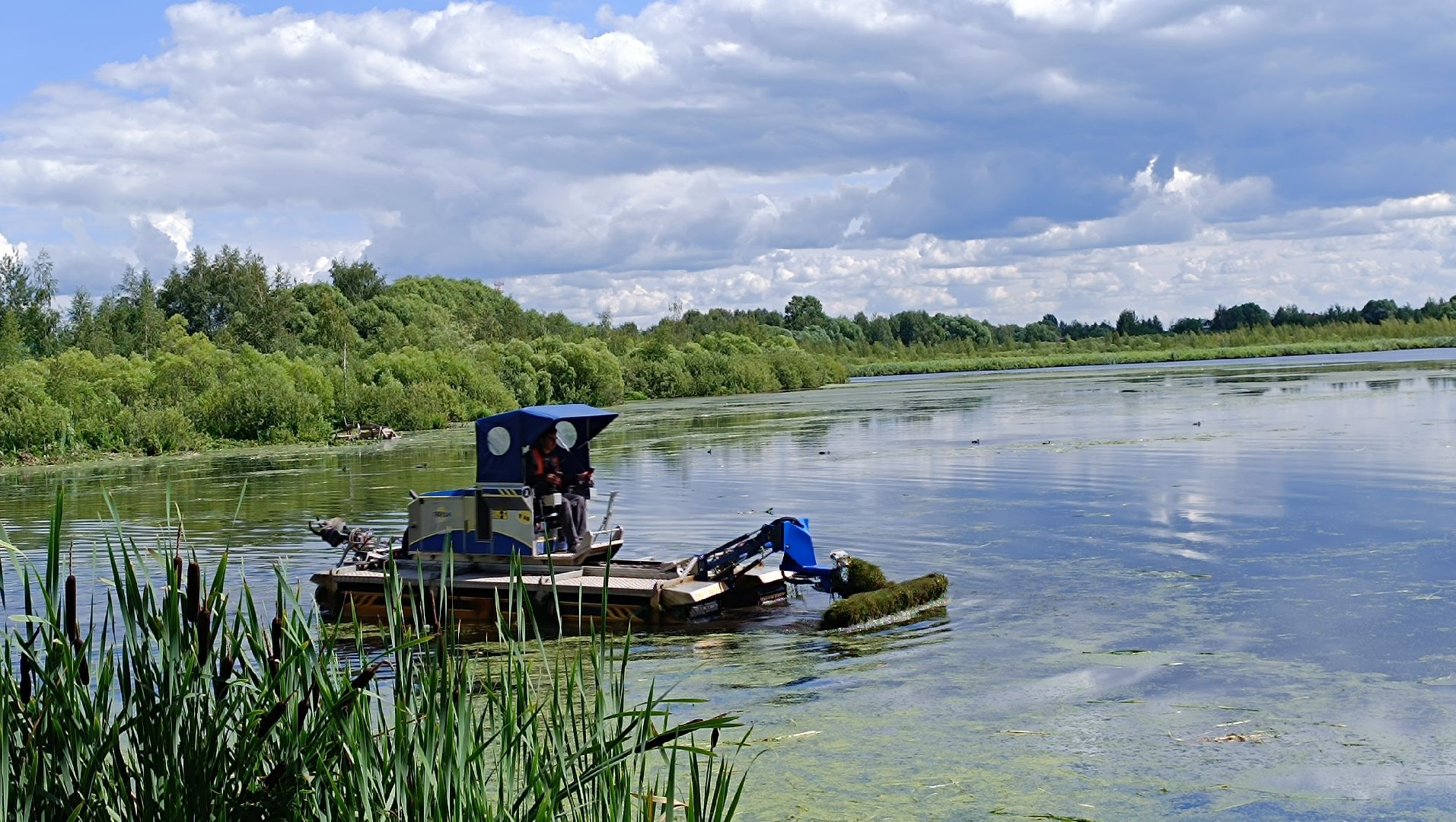 Лобня, озеро, экология