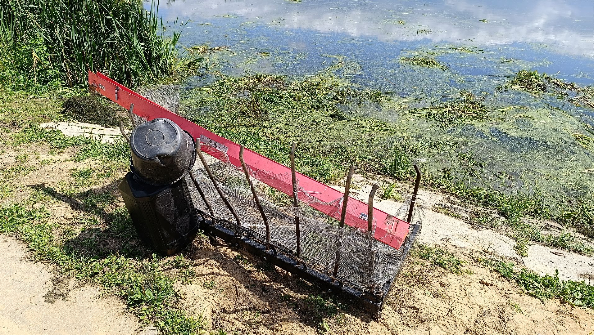 Лобня, озеро, экология