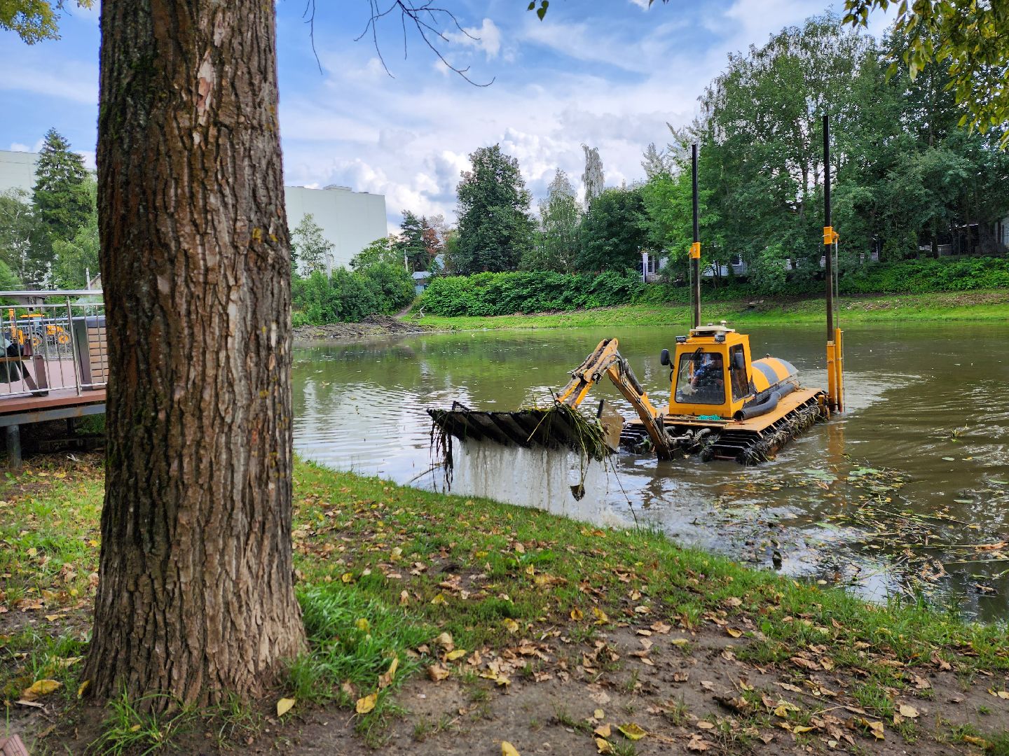 Одинцово, немчиновка, пруд, очистка, общество, рабочий, клевета, медицина,