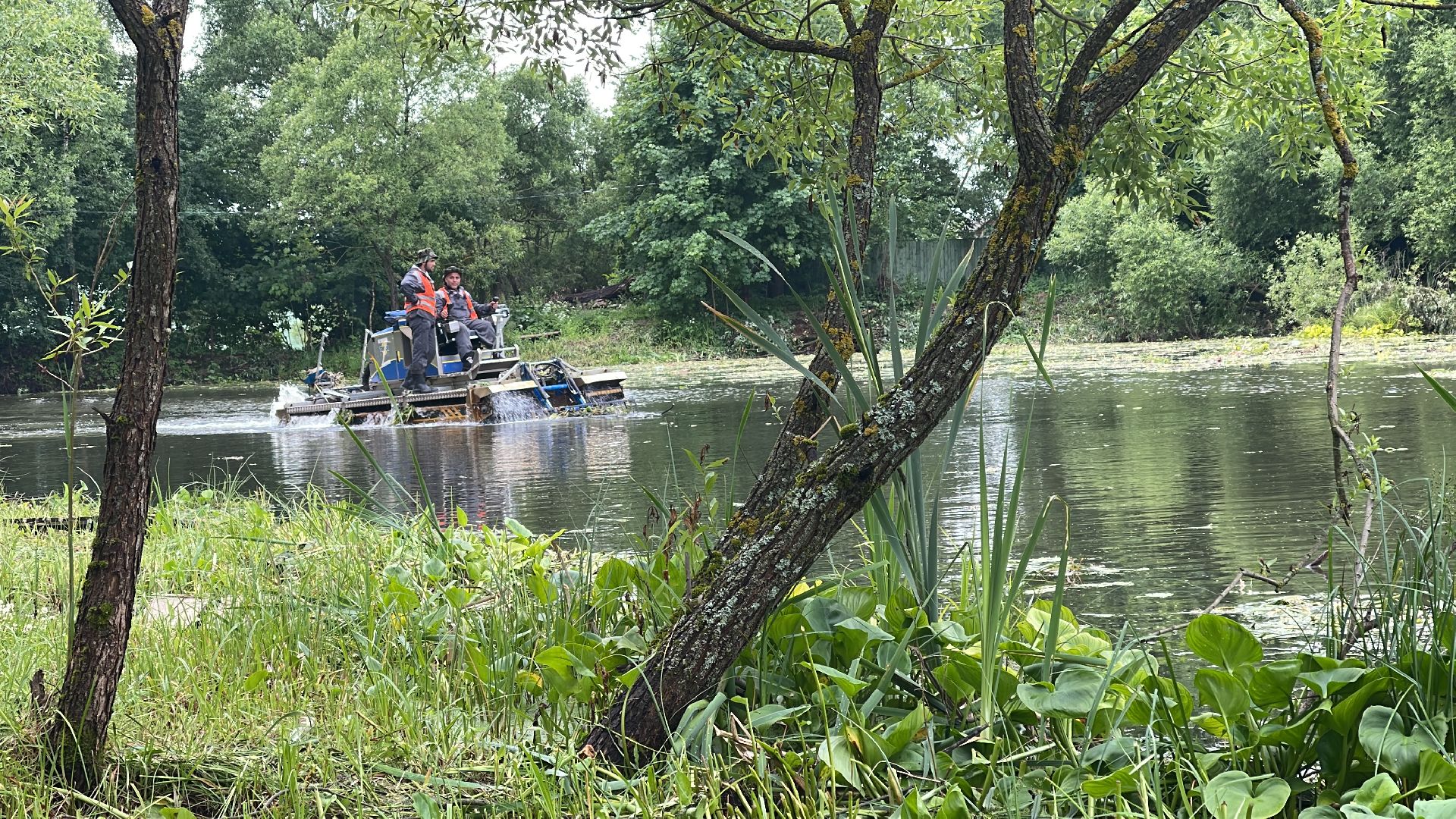 Одинцово, экология, пруд, очистка, губернатор,