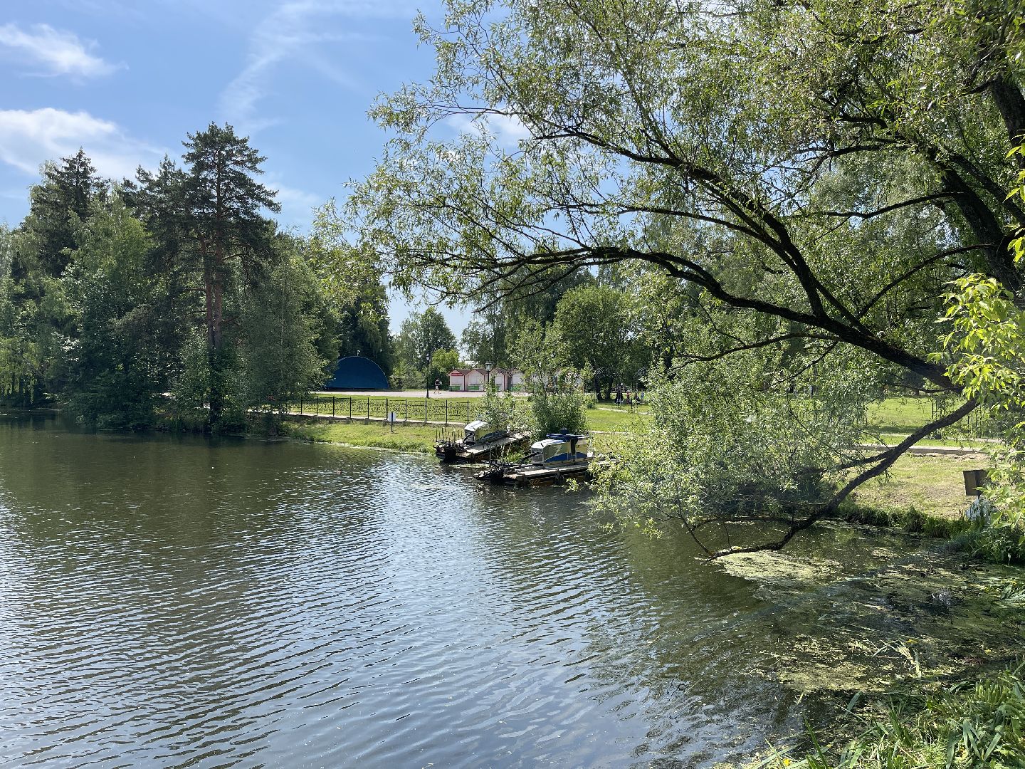 Одинцово, экология, пруд, очистка, губернатор,