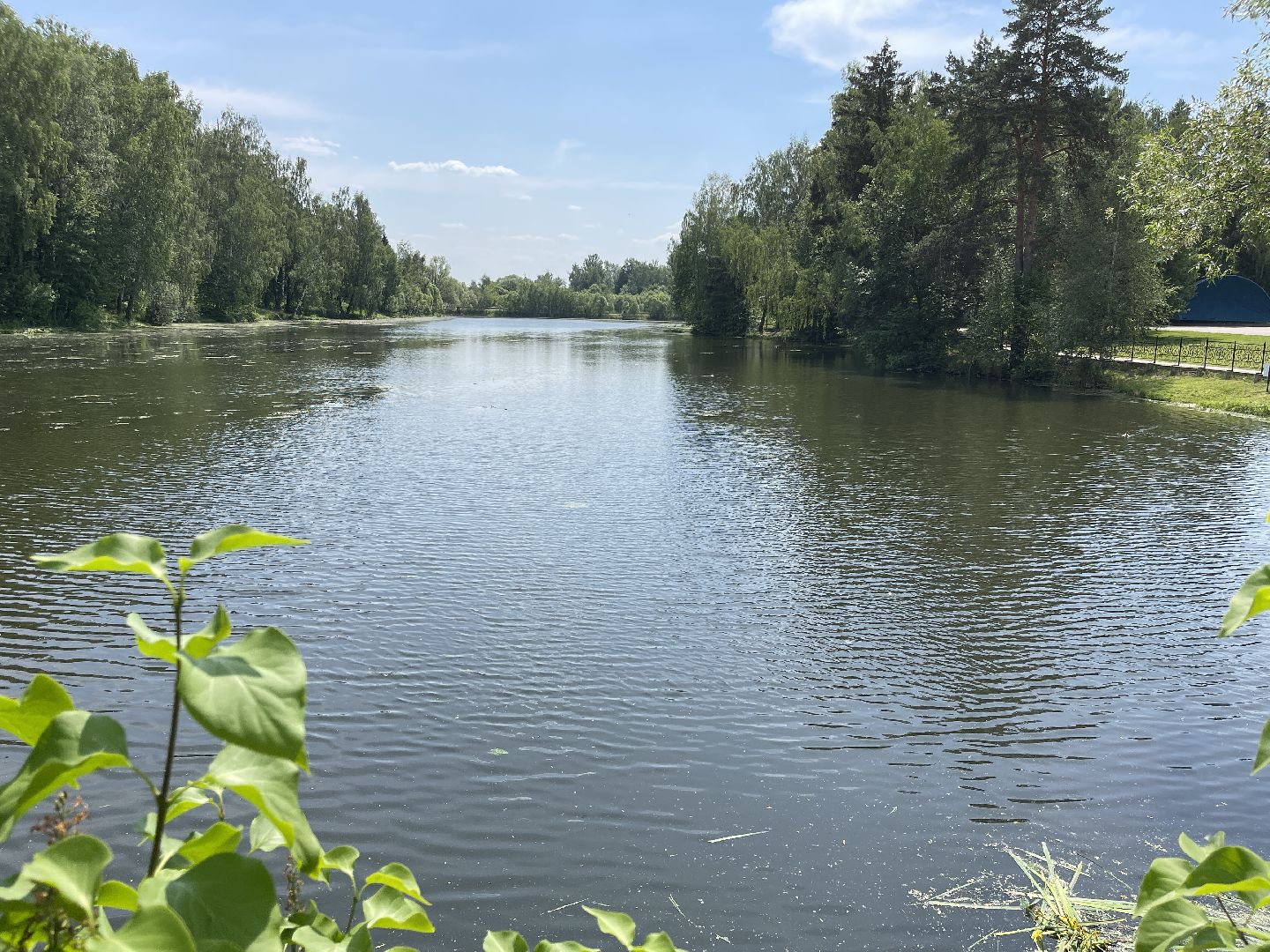 Одинцово, экология, пруд, очистка, губернатор,