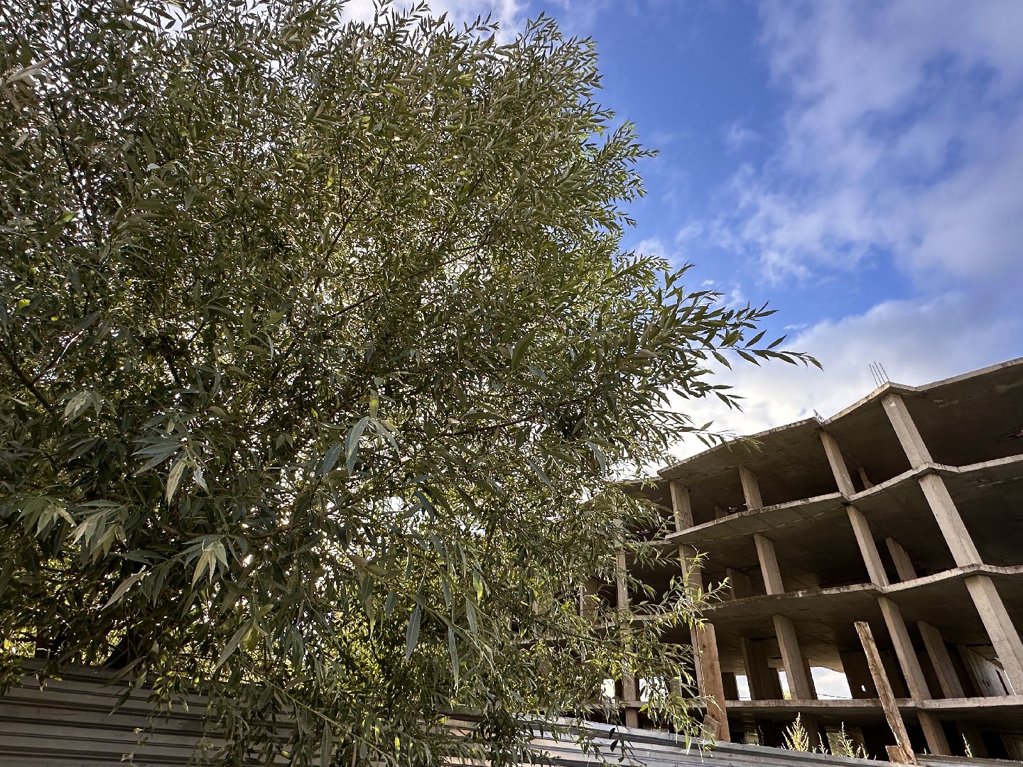 Одинцово, Поликлиника, Гусарская баллада, Медицина