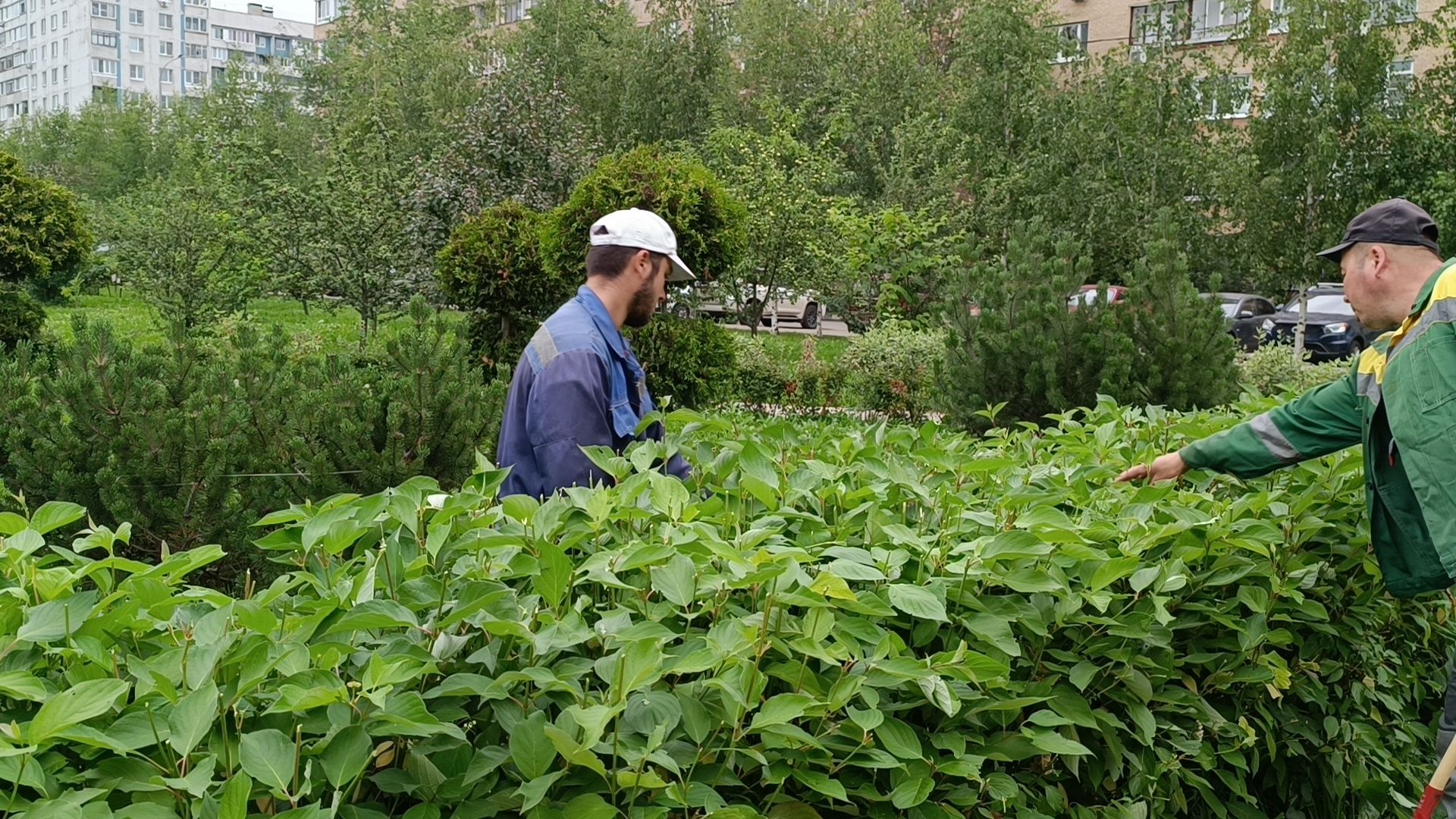Лобня, парк, благоустройство