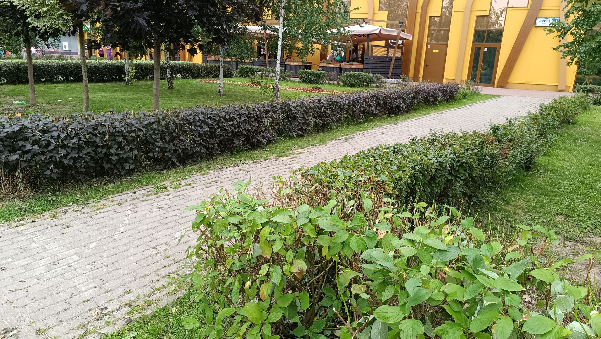 Лобня, парк, благоустройство