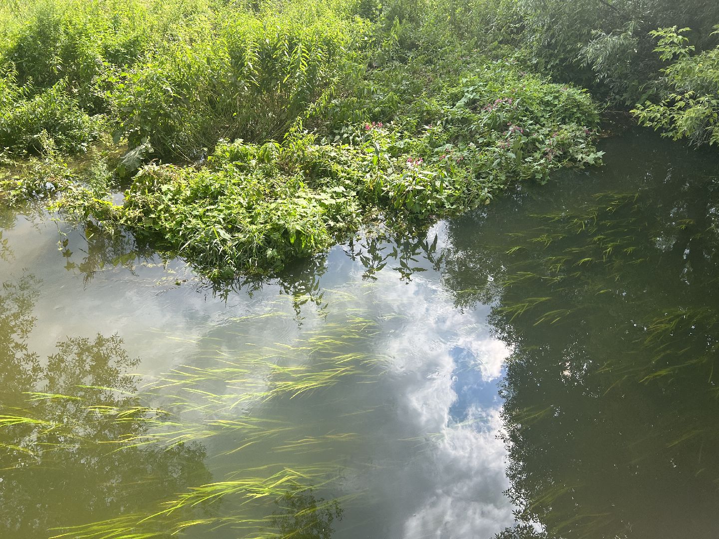 Химки, микрорайон Сходня, экология, река Горетовка