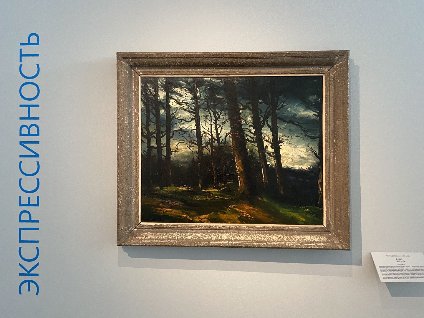 музей, выставка, Истра