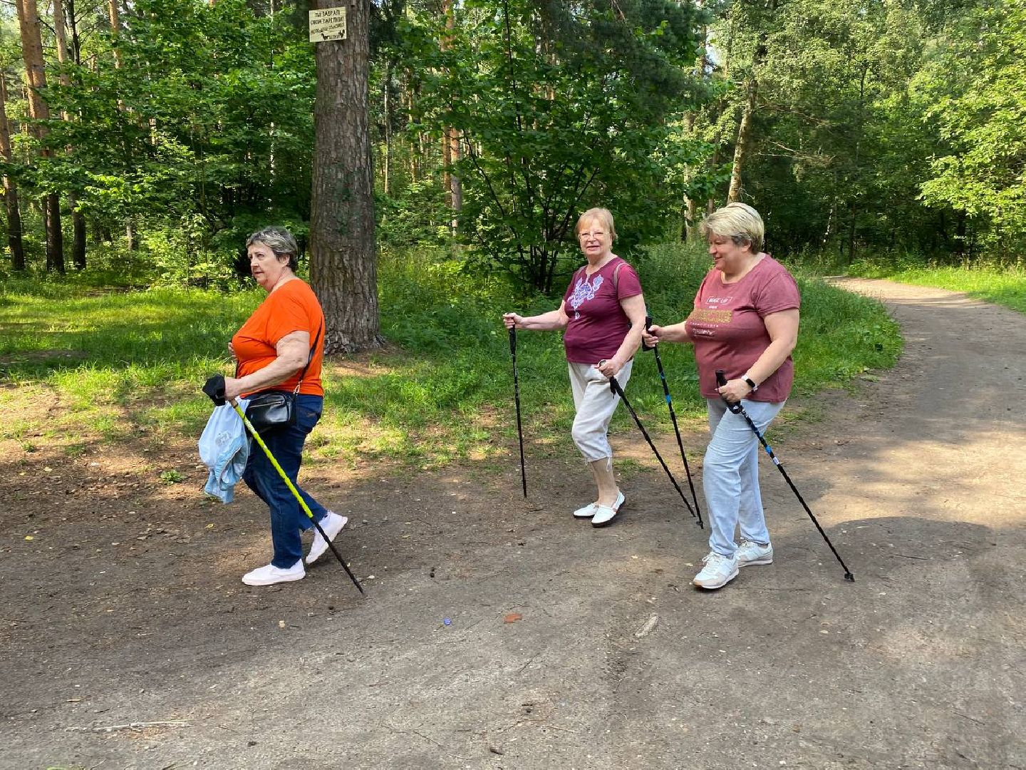 скандинавская ходьба, активное долголетие, Котельники
