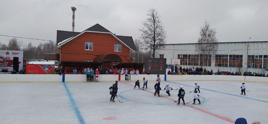 Спорт, хоккей, Щёлково, Фетисов, Выходи во двор, проект