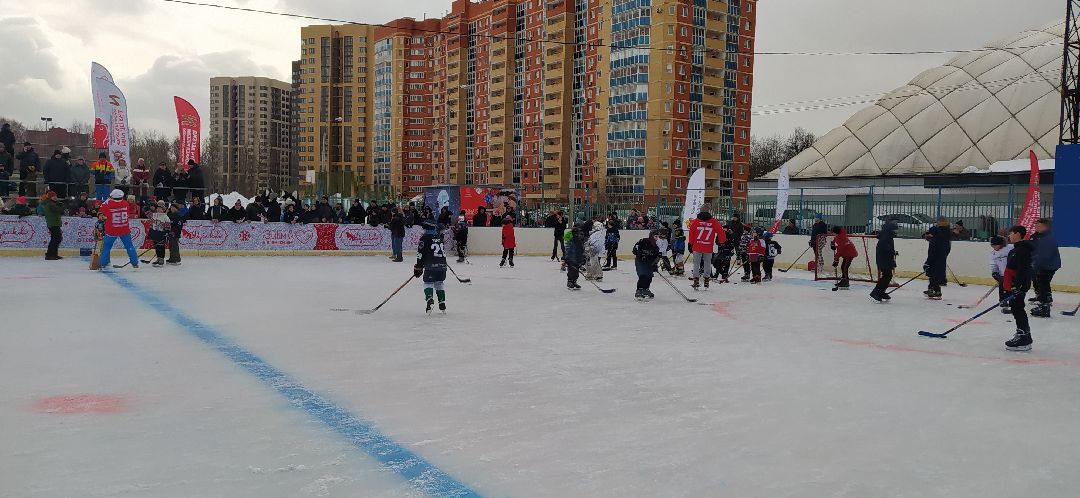Спорт, хоккей, Щёлково, Фетисов, Выходи во двор, проект