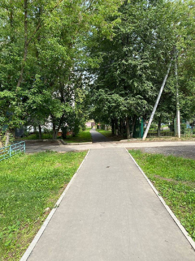 Чехов, благоустройство, народные тропы, губернатор, дорожки