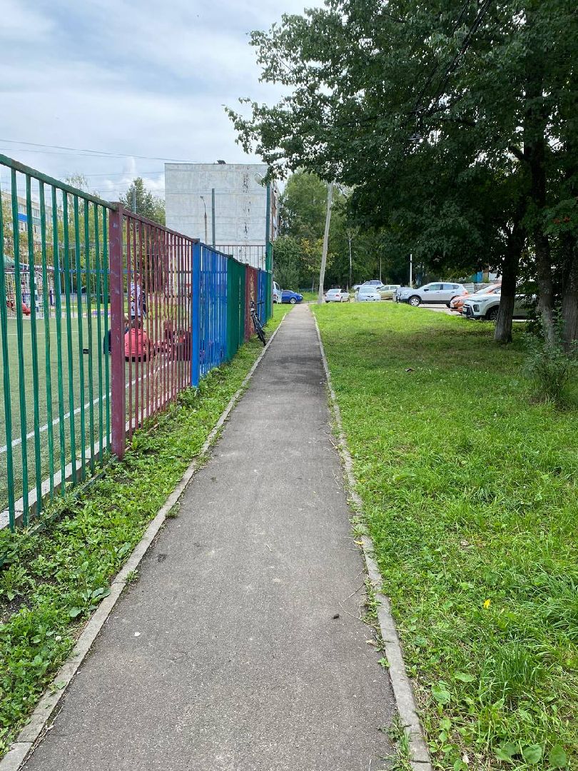 Чехов, благоустройство, народные тропы, губернатор, дорожки