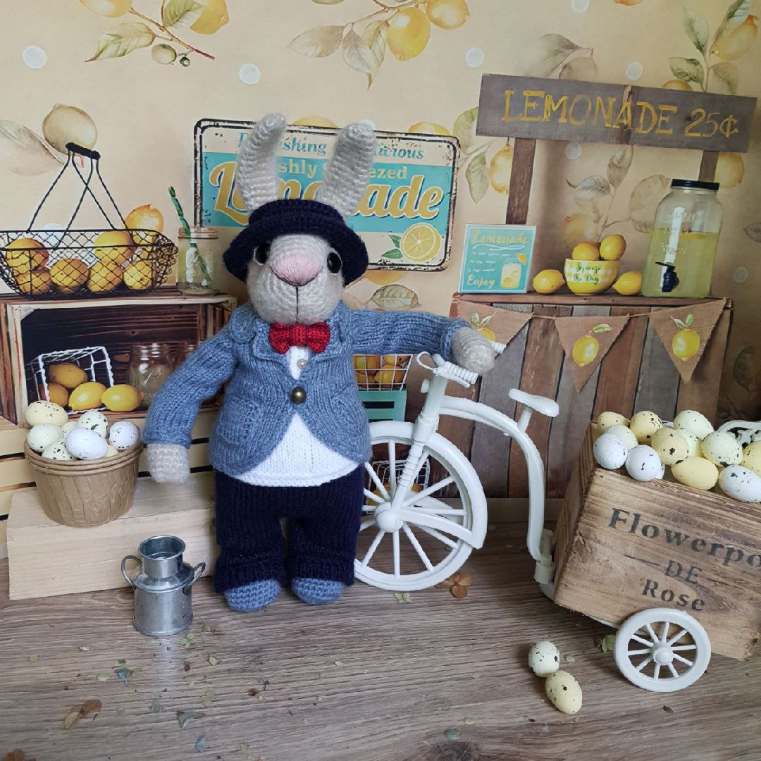 Реутов, кролики, вязание, увлечение, книга