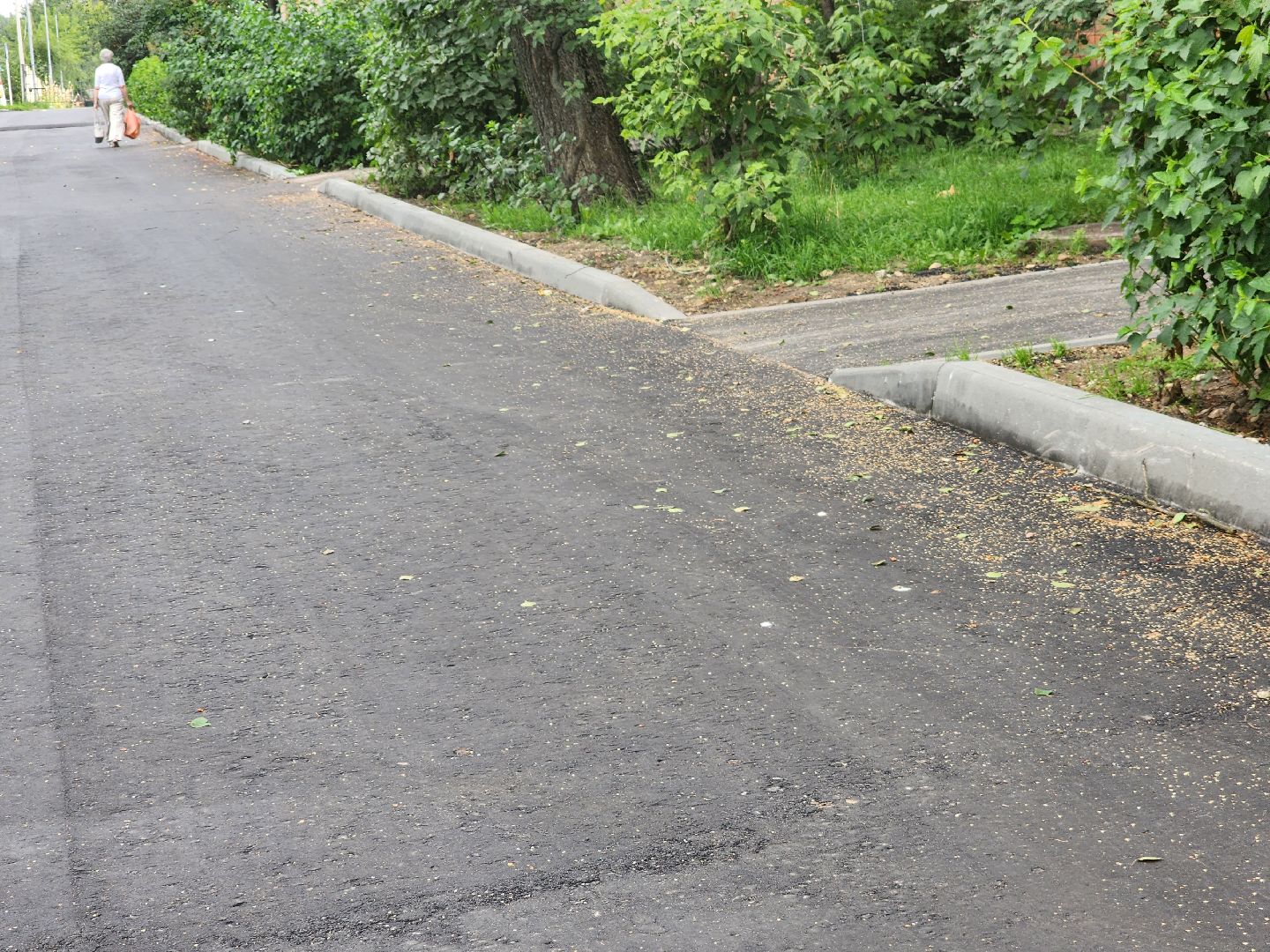Павловский Посад, городской округ Павловский Посад, благоустройство, асфальт, дом, двор, жители