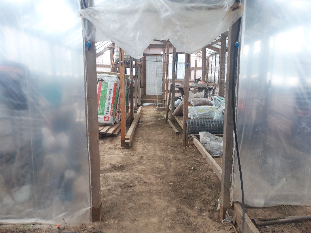 помощь людям, выплаты, продукты,