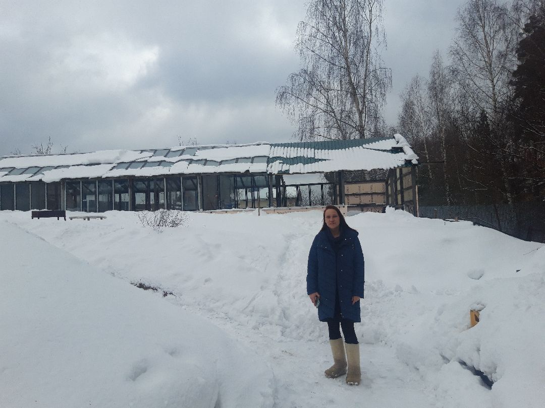 помощь людям, выплаты, продукты,