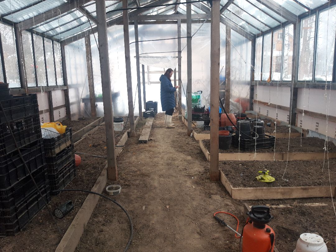 помощь людям, выплаты, продукты,