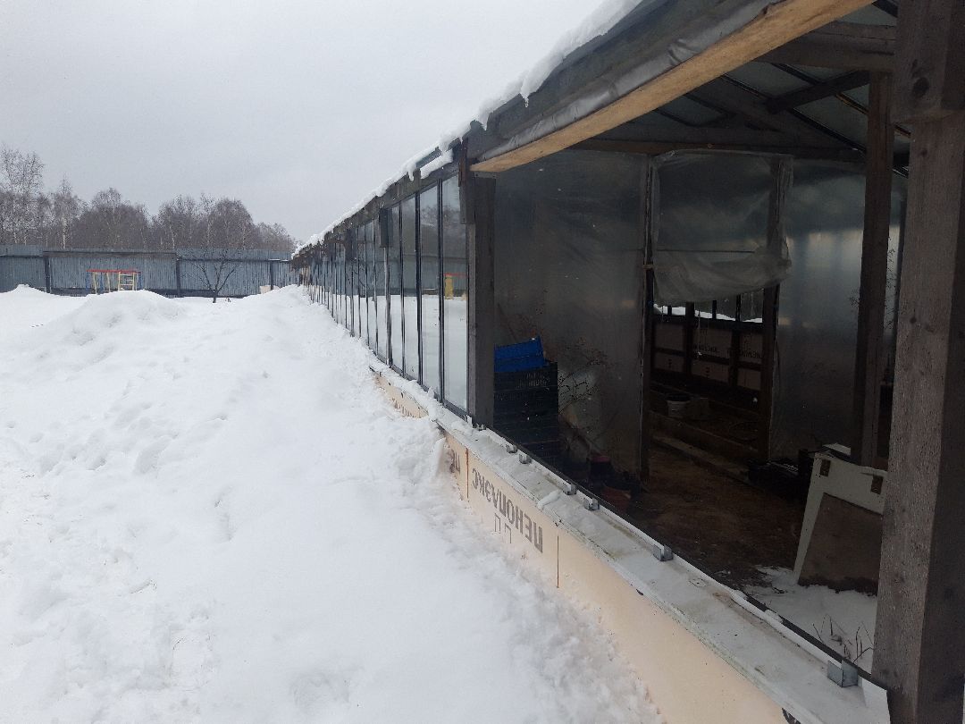 помощь людям, выплаты, продукты,