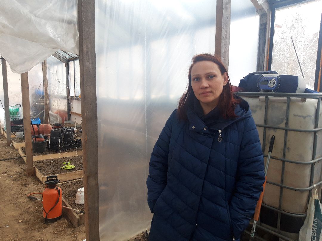 помощь людям, выплаты, продукты,