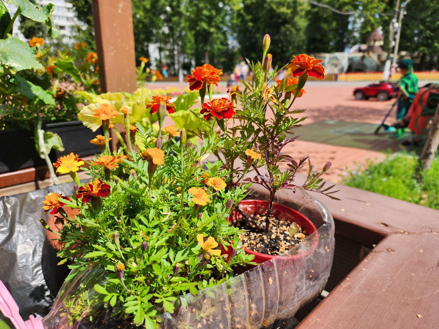 Павловский Посад, городской округ Павловский Посад, люди, лето, парк, огород, урожай