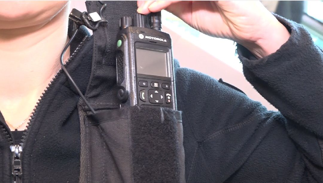 аэропорт, безопасность, Домодедово