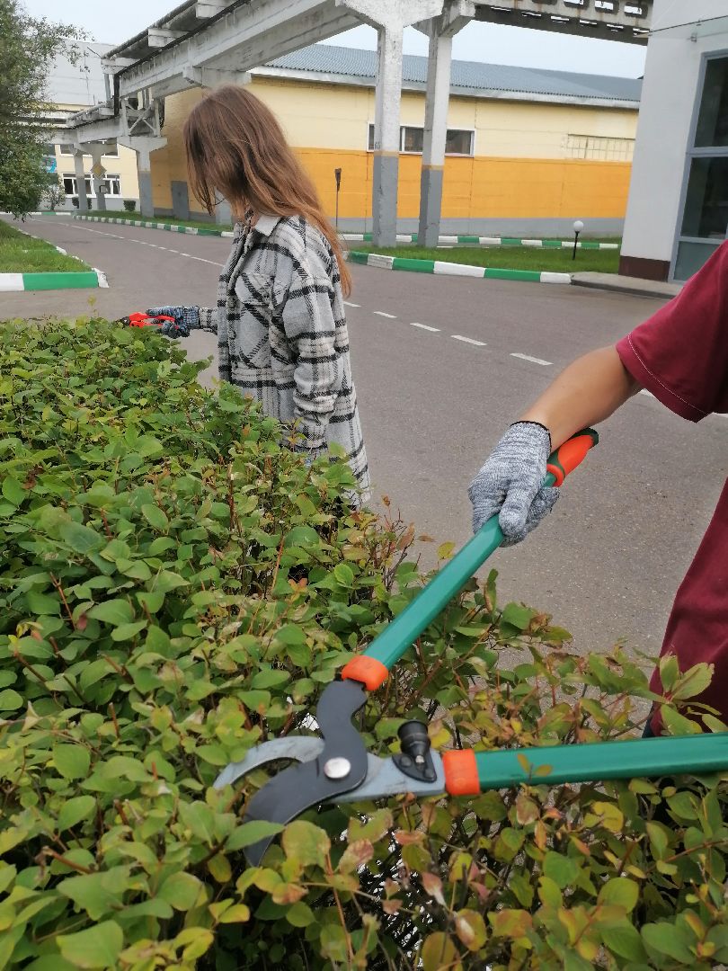 летоспользой