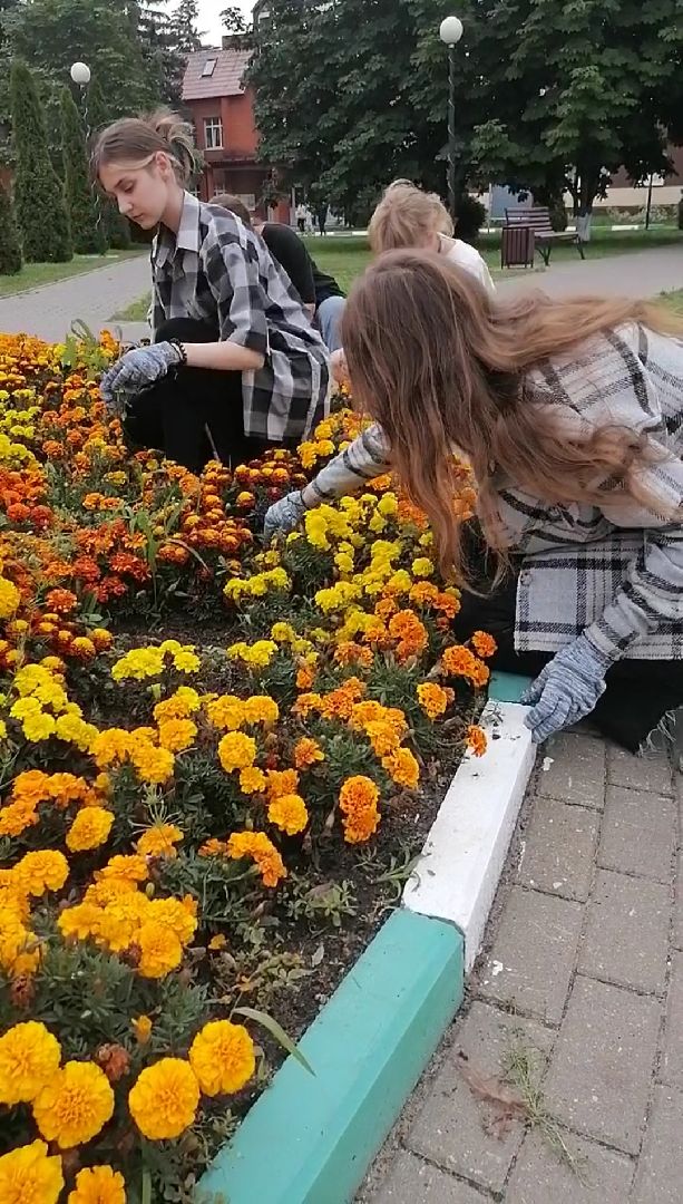 летоспользой