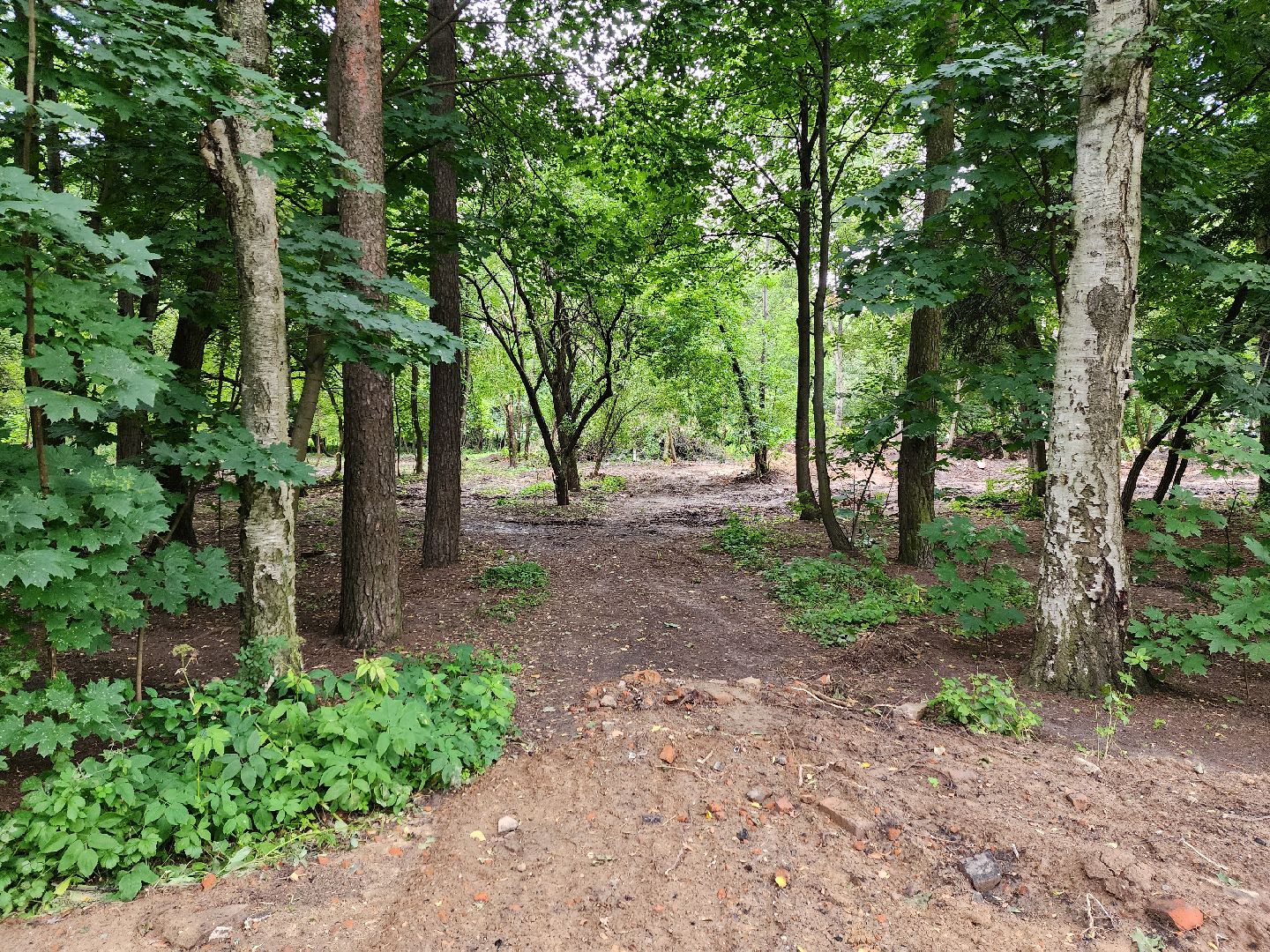 Одинцово, благоустройство, реконструкция, улица, ремонт, сквер,